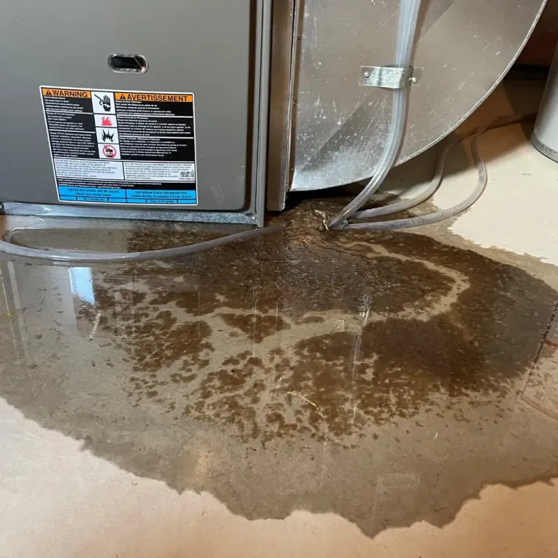 Appliance Leak Cleanup in Whitmore Village, HI