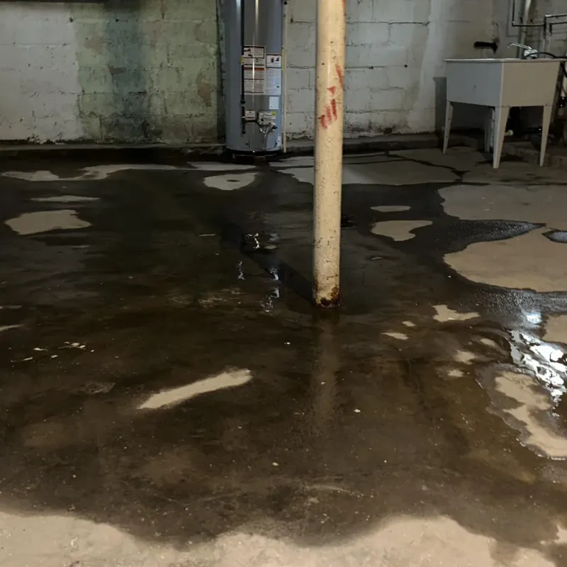 Emergency Water Extraction And Removal in Whitmore Village, HI